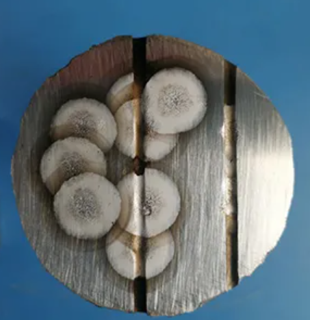 聚光科技