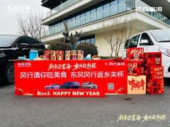 春运归途有暖伴 东风风行